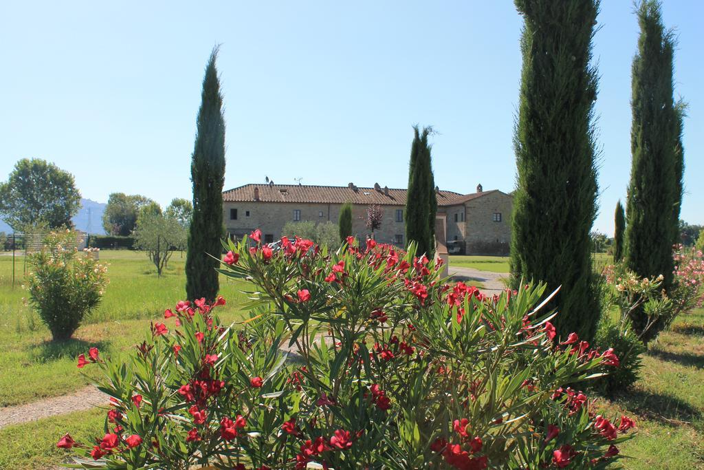 Il Grifone A Cortona Residence Eksteriør billede
