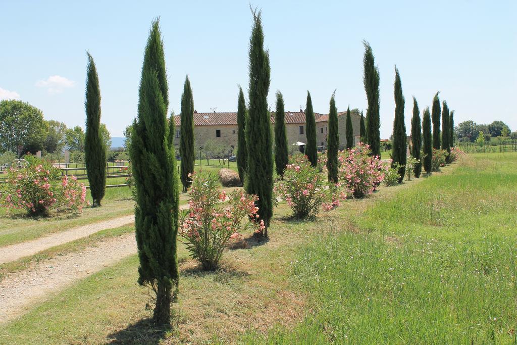 Il Grifone A Cortona Residence Eksteriør billede