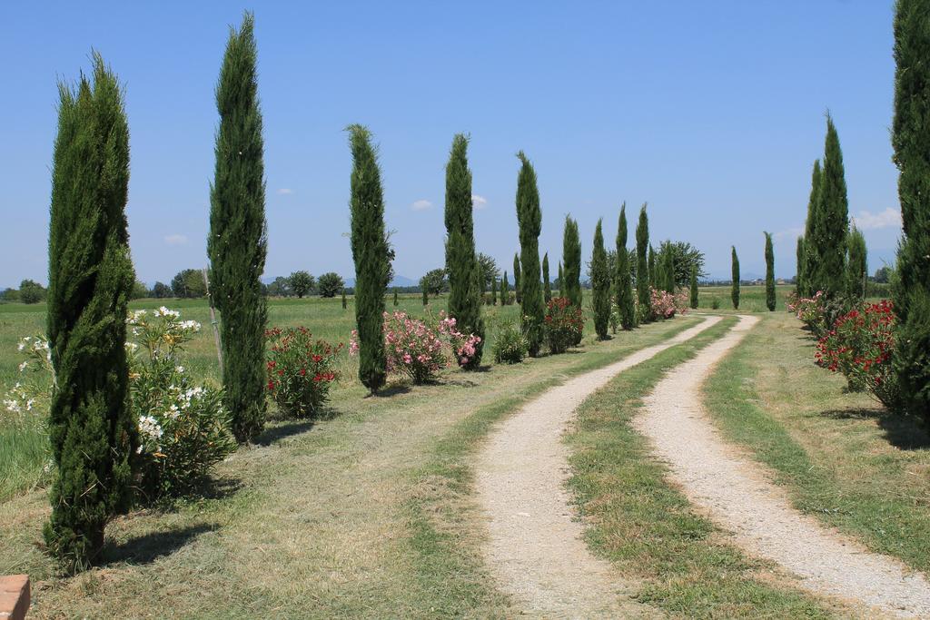 Il Grifone A Cortona Residence Eksteriør billede