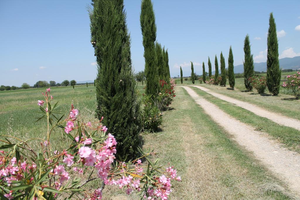 Il Grifone A Cortona Residence Eksteriør billede