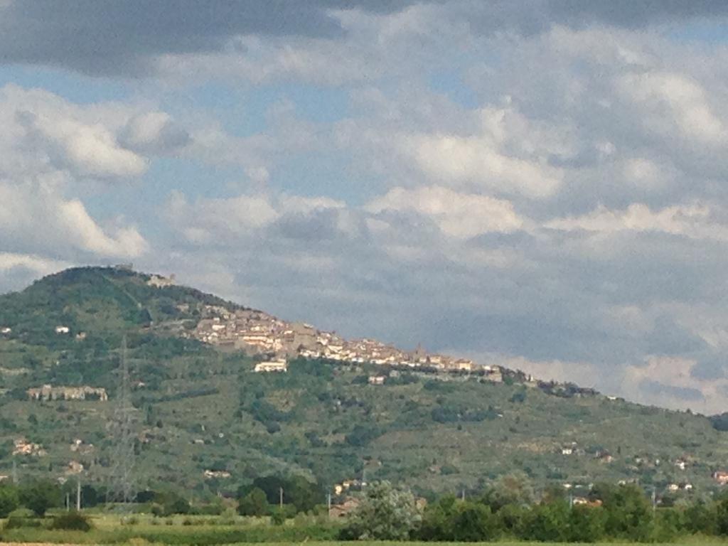 Il Grifone A Cortona Residence Eksteriør billede