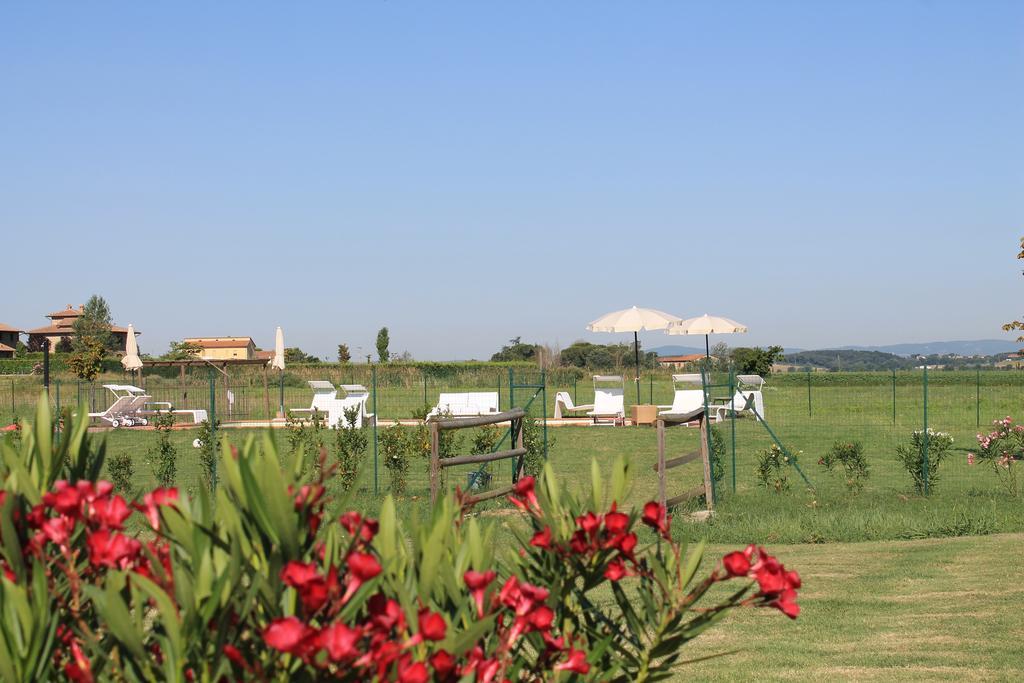 Il Grifone A Cortona Residence Eksteriør billede